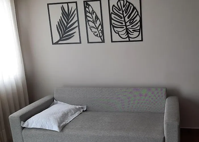 Apartamento Inteiro E Completo Em Tijucas Moderno E Confortavel